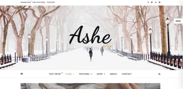 워드프레스 무료 테마 클래식한 디자인의 Ashe 리뷰